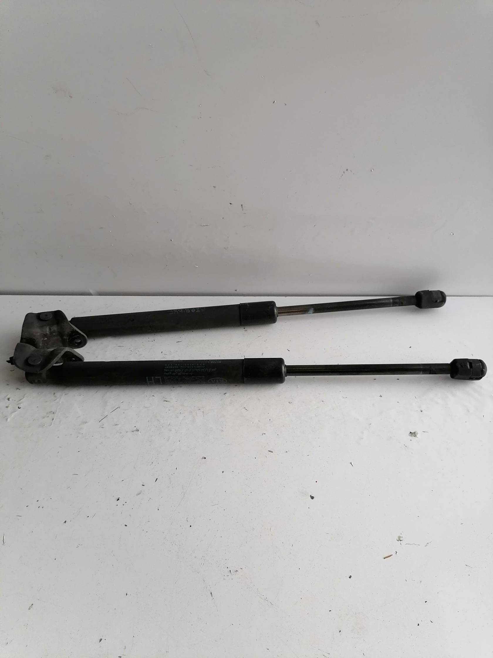 Asta ammortizzante portello post. sx.